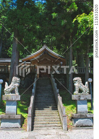夏天的高賀神社 夏天的高賀神社 111631020