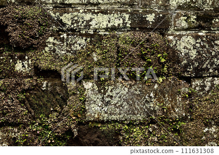 Mossy stone wall Mossy stone wall 111631308