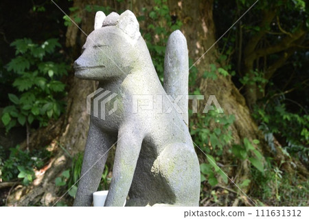 Fox stone statue (Funamori Inari Shrine/1-11 Higashiuraga, Yokosuka City, Kanagawa Prefecture) Fox stone statue (Funamori Inari Shrine/1-11 Higashiuraga, Yokosuka City, Kanagawa Prefecture) 111631312