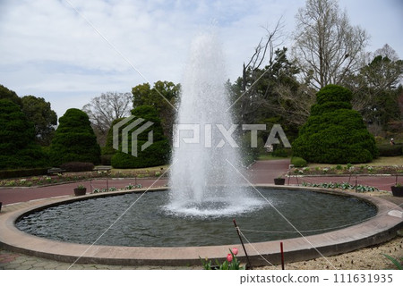 春天京都植物園噴泉 111631935