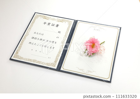 Diploma image Diploma image 111633320