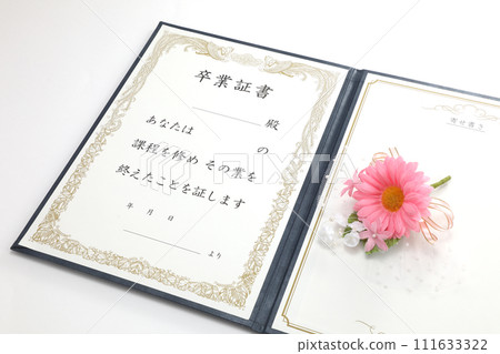 Diploma image Diploma image 111633322