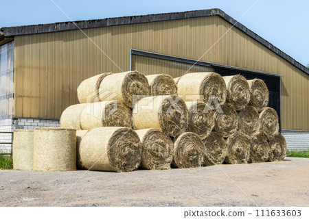 Bales of hay lie near the barn 111633603