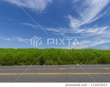 Landscape of embankment road and blue sky 111633625
