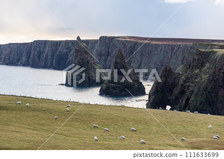 Stacks of Duncansby, some of the most impressive in the British Isles Stacks of Duncansby, some of the most impressive in the British Isles 111633699