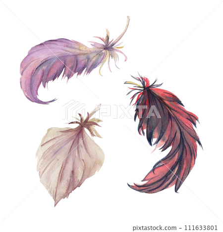 Hand drawn watercolor bird feather plume quill boho tribal ethnic indian brown. Single object isolated on white background. Design for charm, amulet, dreamcatcher, scrapbooking, handmade craft, tattoo 111633801