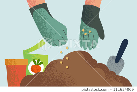 seed into the soil illustration seed into the soil illustration 111634009