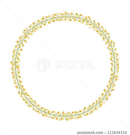 Yellow mimosa flowers round wreath frame. Watercolor background border with hand drawn flower illustration isolated on white for card design, print, web banner, holiday decor. Acacia dealbata, silver 111634318