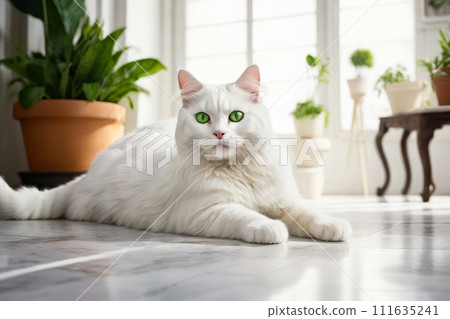 White cat with green eyes sits on marble floor near potted plant. Generative AI 111635241
