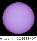 Small sunspots that are likely to be hidden by rotation 111635407