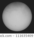 A small sunspot moving on the sun's surface 111635409