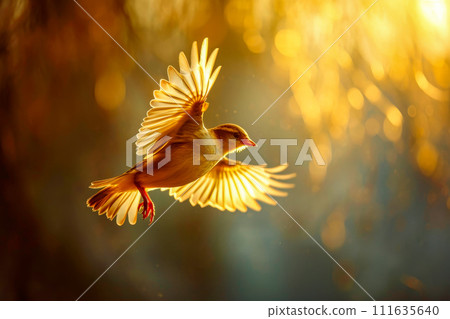 Yellow bird with its wings spread wide flying through the air in sunlit moment. Generative AI 111635640