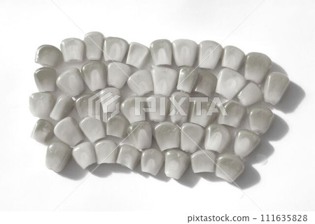 Sweet corn in monotone color Sweet corn in monotone color 111635828