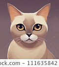 sitting white cat 111635842
