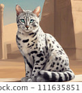 Sitting kittens 111635851