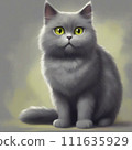 Sit Scottish Fold 111635929