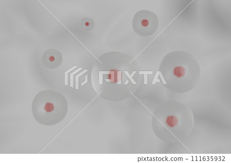 Image of animal cells Image of animal cells 111635932
