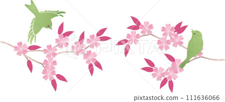 Illustration of a nightingale perched on a cherry blossom branch 111636066