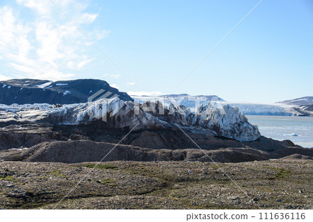 Arctic landscape Arctic landscape 111636116