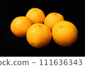 orange on black background 111636343