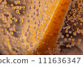 orange in a glass of carbonated water 111636347