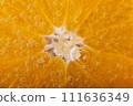 Sliced orange close-up in a glass of carbonated water 111636349