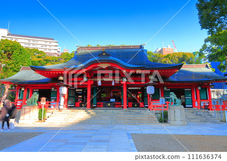 [Hyogo Prefecture] Main hall (worship hall) of Ikuta Shrine on a clear day 111636374