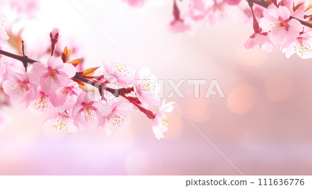 Exquisite pink peach blossoms flourishing in a vibrant garden 111636776
