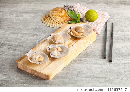 Raw natural scallop in its shell 111637347