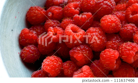 Juicy red raspberries in a bowl. Raspberry harvesting. Vitamin berries. Juicy red raspberries in a bowl. Raspberry harvesting. Vitamin berries. 111637406