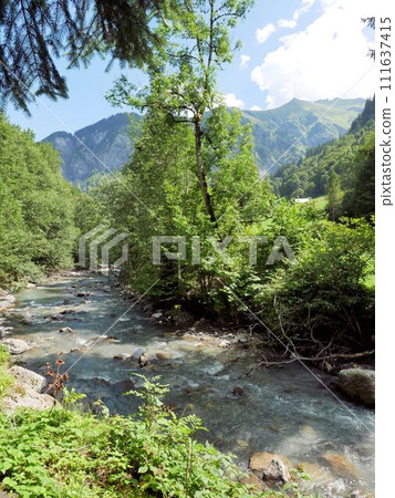 Scenery of the Weisstannen Valley, upstream of the Seez River (Canton St. Gallen, Switzerland) Scenery of the Weisstannen Valley, upstream of the Seez River (Canton St. Gallen, Switzerland) 111637415