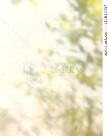 植物影光陽光 111638454