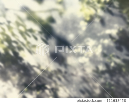 植物影光陽光 111638458