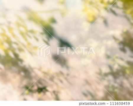 植物影光陽光 111638459