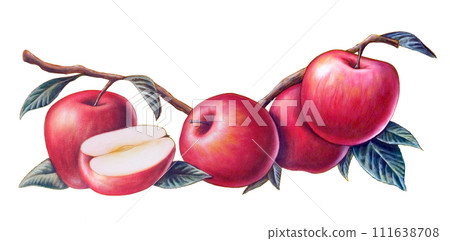 Red apples 111638708