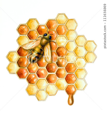 Bee and honey 111638869