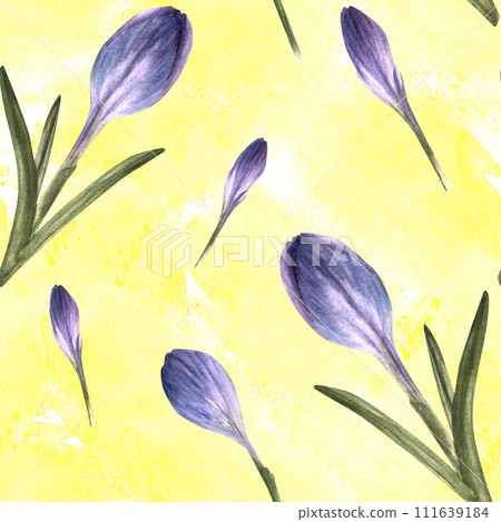 Watercolor early spring plant, crocuses, primary flowers, saffron seamless pattern on yellow watercolor splashes background Hand drawn illustration for weddings, easter wrapping, wallpaper Isolated Watercolor early spring plant, crocuses, primary flowers, saffron seamless pattern on yellow watercolor splashes background Hand drawn illustration for weddings, easter wrapping, wallpaper Isolated 111639184