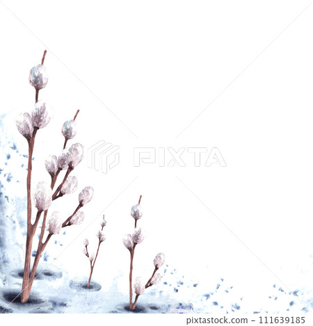Watercolor flowering branches Pussy willow trees on watercolor stains background card template. Hand drawn melting snow landscape Illustration for Catholic or Orthodox Easter, Palm Sunday Isolated 111639185