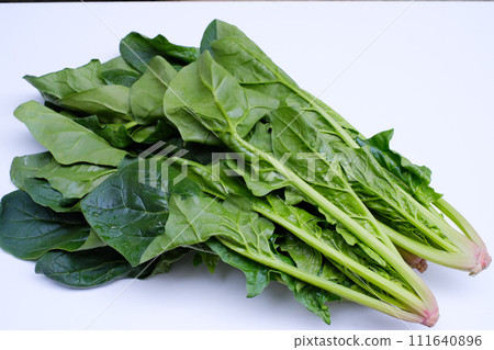 Fresh spinach 111640896