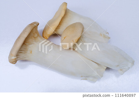 King oyster mushroom photographed against a white background King oyster mushroom photographed against a white background 111640897
