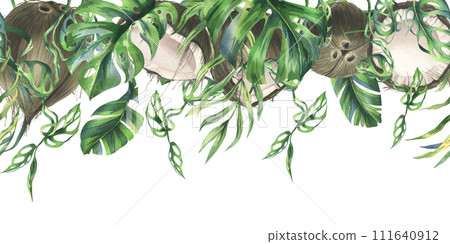 Coconuts whole, halves and pieces with bright, green, tropical palm leaves. Hand drawn watercolor illustration. Seamless border isolated from the background 111640912