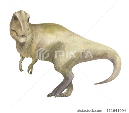 Watercolor illustration of a dinosaur Tyrannosaurus rex, watercolor texture, handmade, isolated. For children's room decor, poster, invitation 111641094