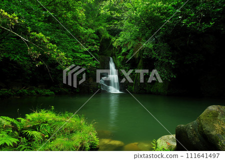 Adanade Falls surrounded by deep greenery on Iriomote Island, Okinawa Prefecture Adanade Falls surrounded by deep greenery on Iriomote Island, Okinawa Prefecture 111641497