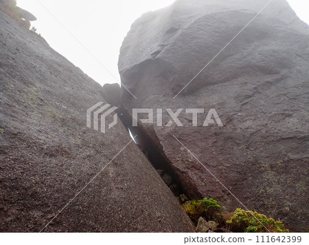 屋久島屋久杉樂園立中岳 111642399