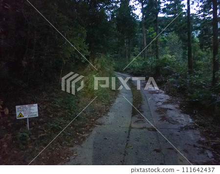 Aikodake in Yakushima 111642437