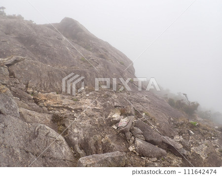 Aikodake in Yakushima 111642474