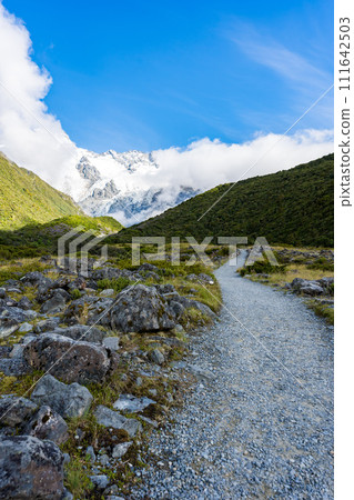 Mount Cook in New Zealand Mount Cook in New Zealand 111642503