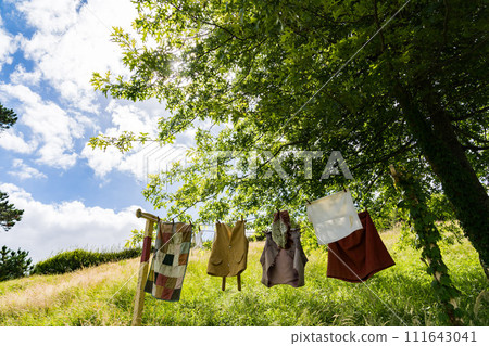 紐西蘭洗衣店 111643041