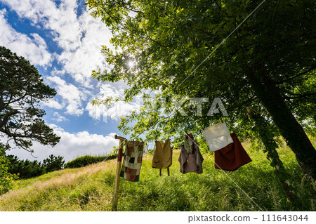 紐西蘭洗衣店 111643044