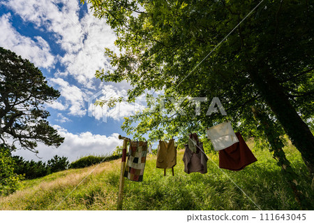 紐西蘭洗衣店 111643045